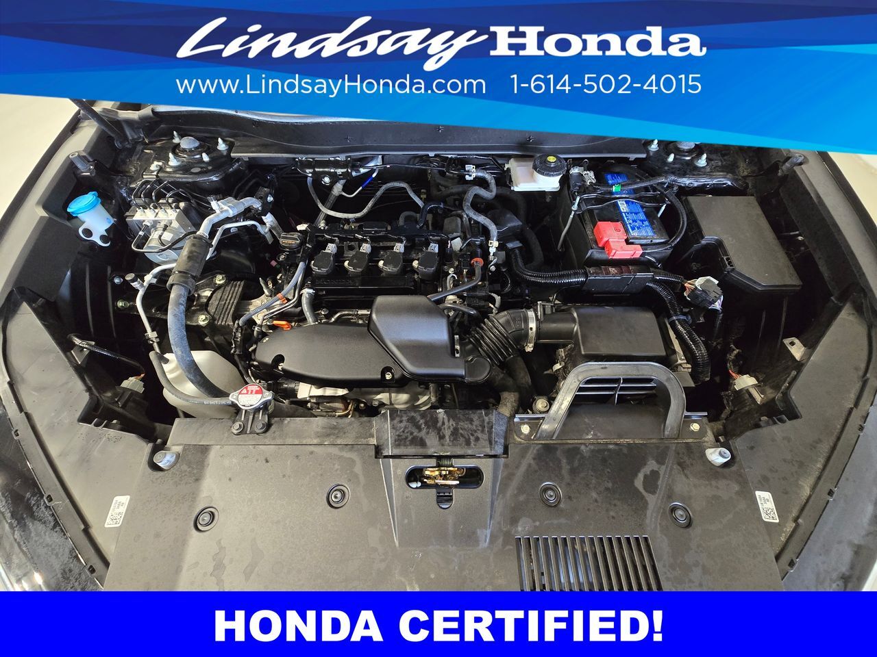 2025 Honda CR-V EX-L Columbus OH