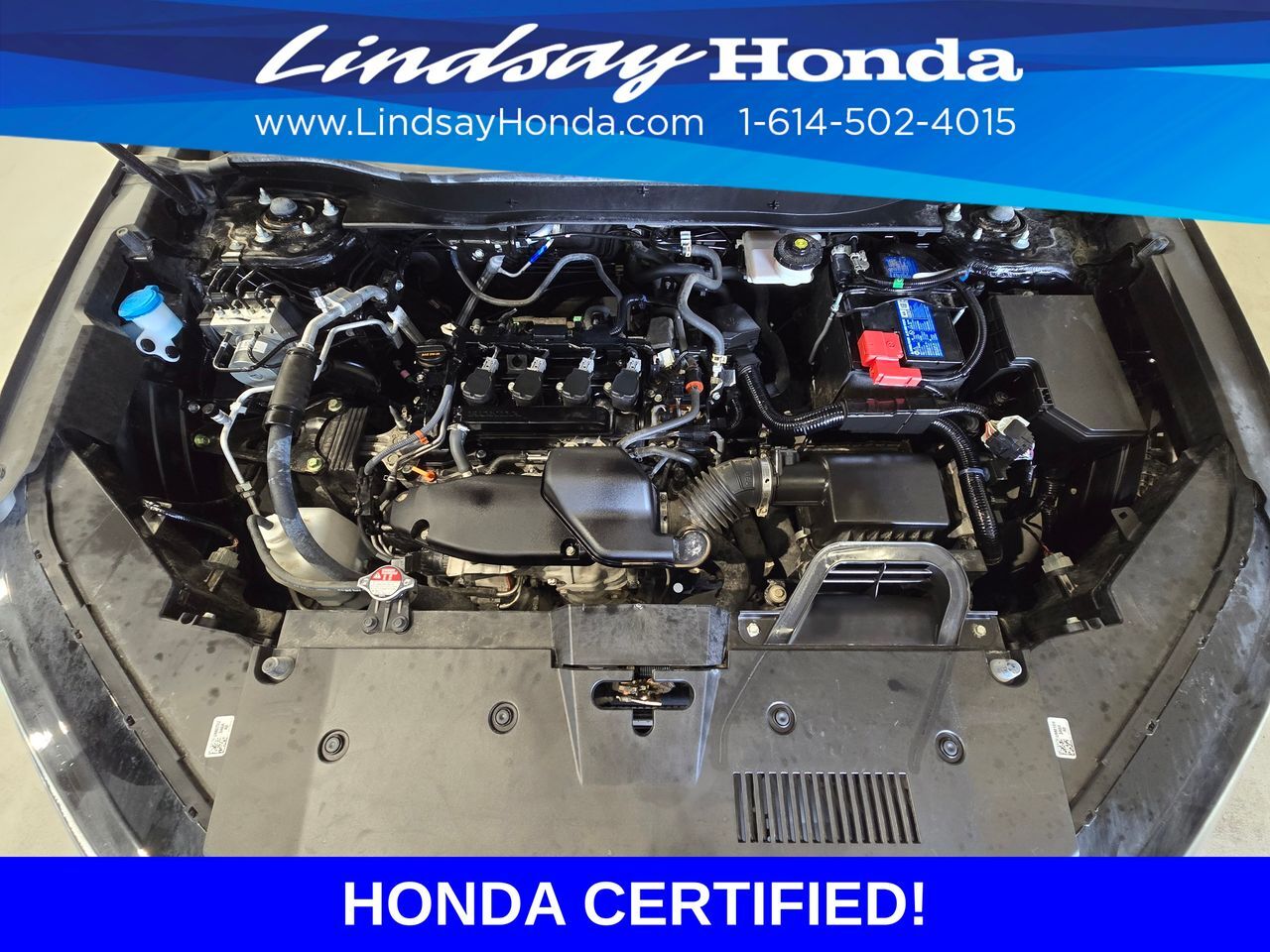 2025 Honda CR-V EX-L Columbus OH