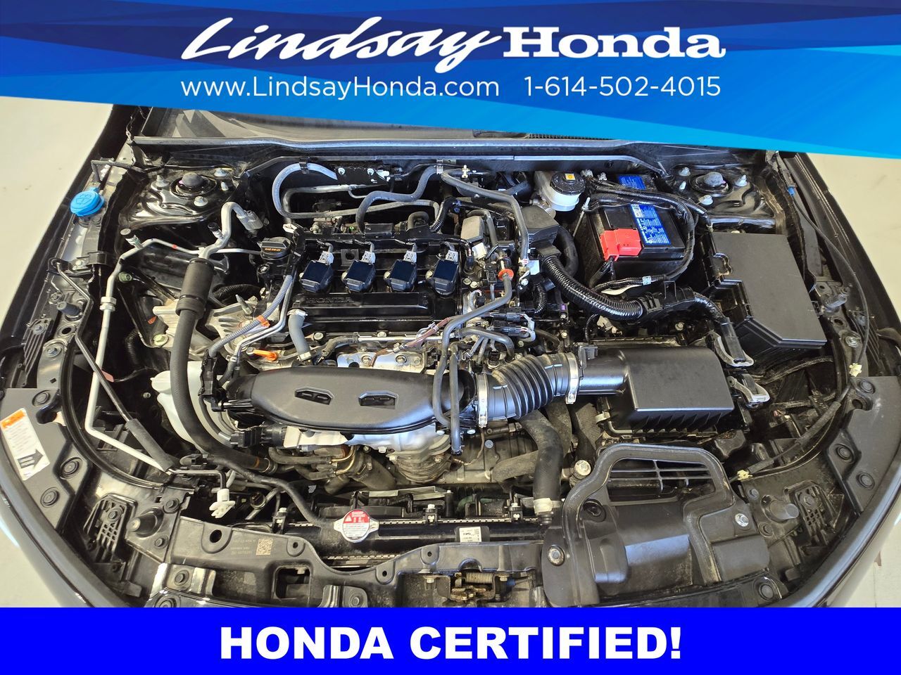 2025 Honda Civic Si Columbus OH