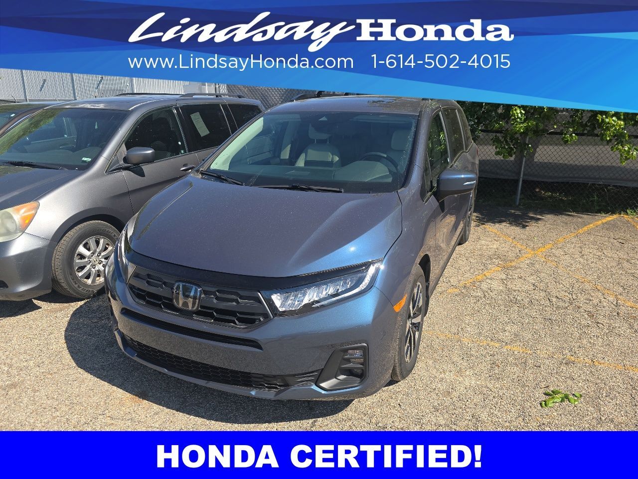 2025 Honda Odyssey EX-L