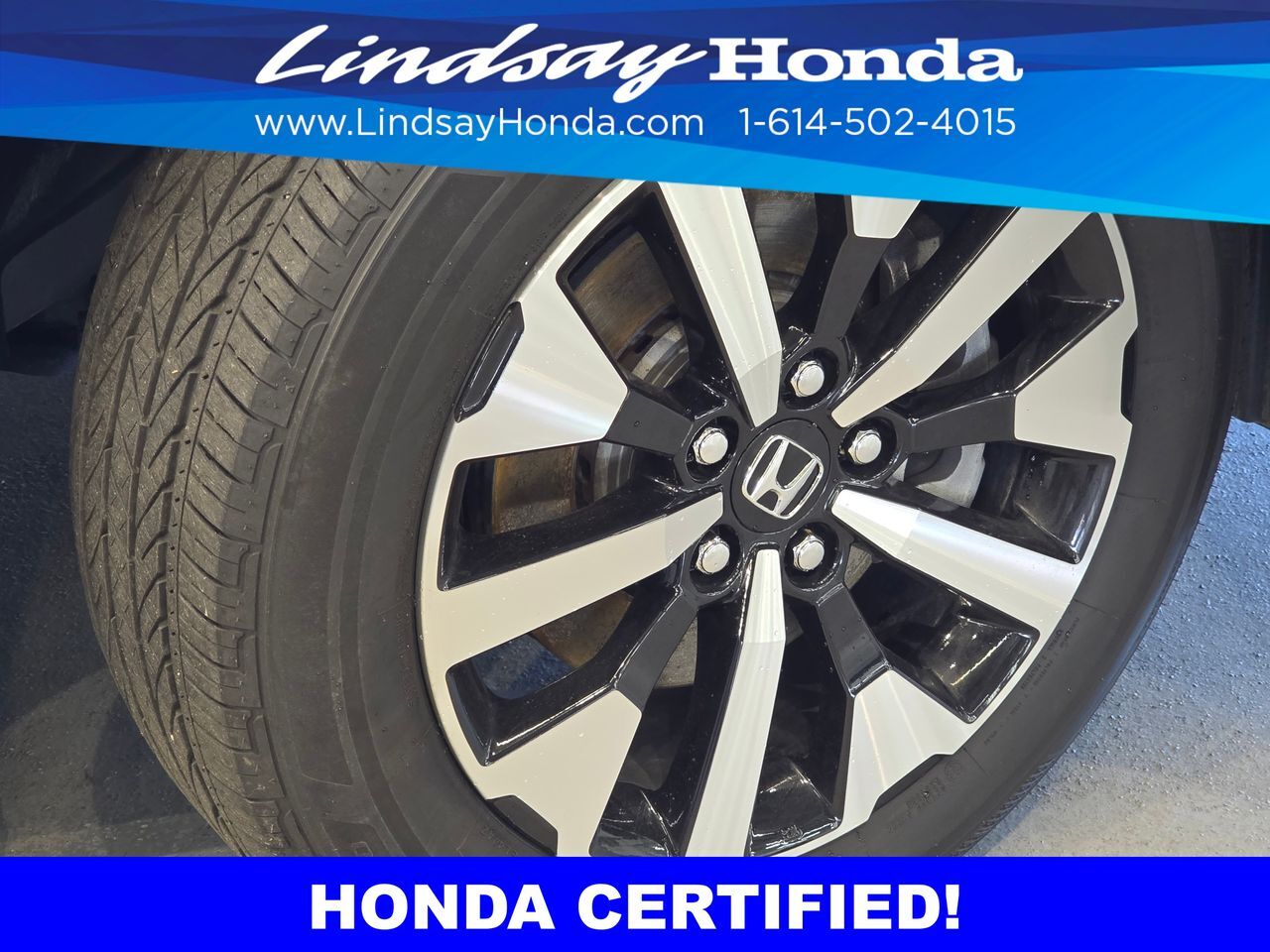 2025 Honda Odyssey EX-L Columbus OH