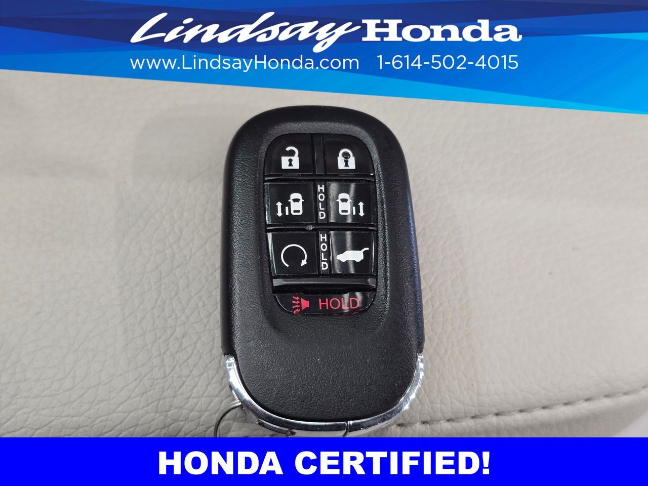 2025 Honda Odyssey EX-L Columbus OH