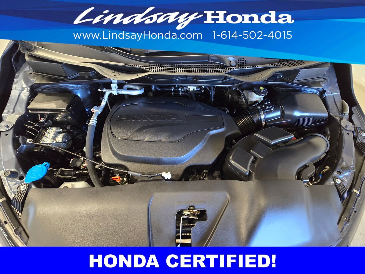 2025 Honda Odyssey EX-L Columbus OH