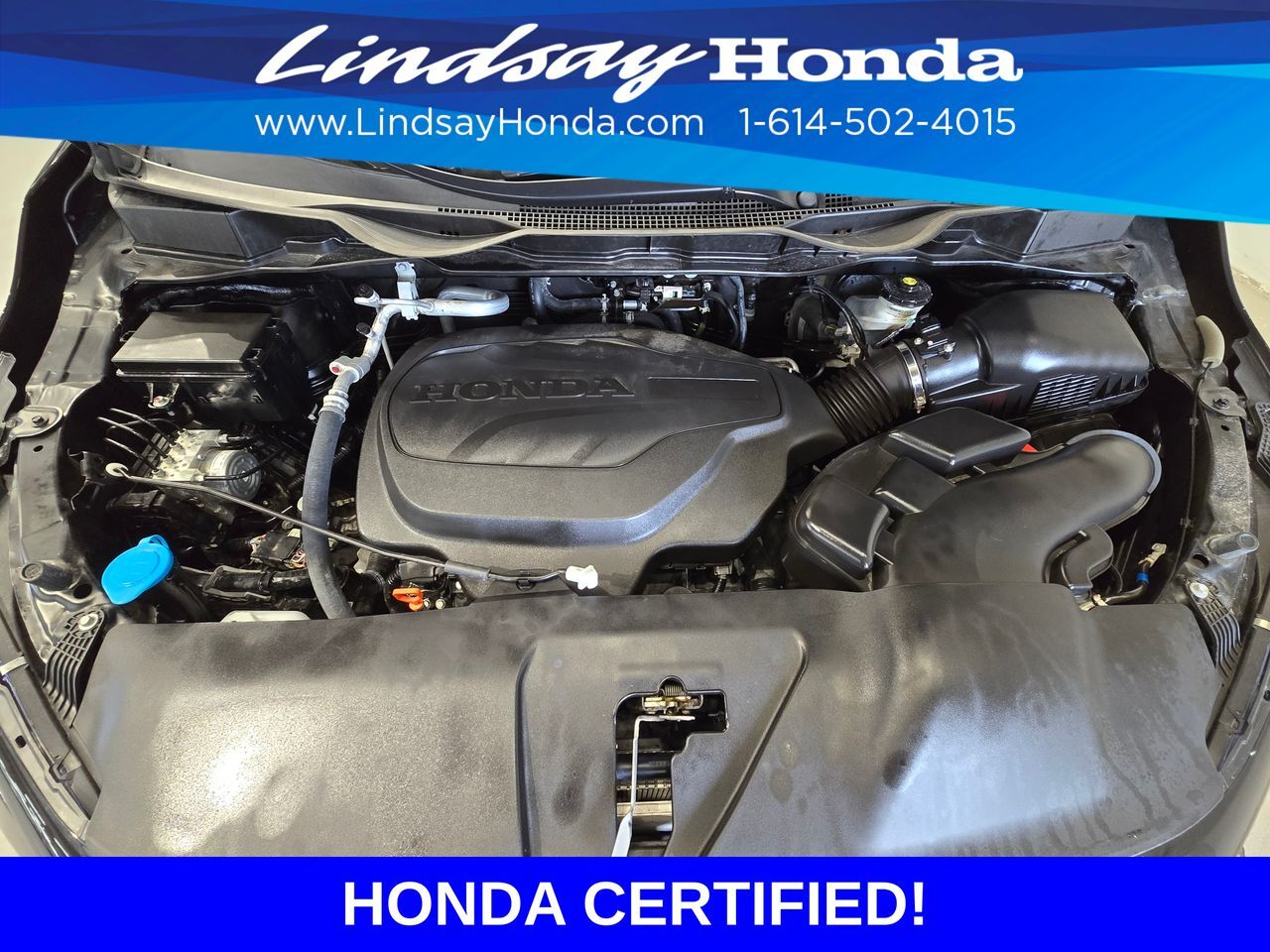 2025 Honda Odyssey Touring Columbus OH