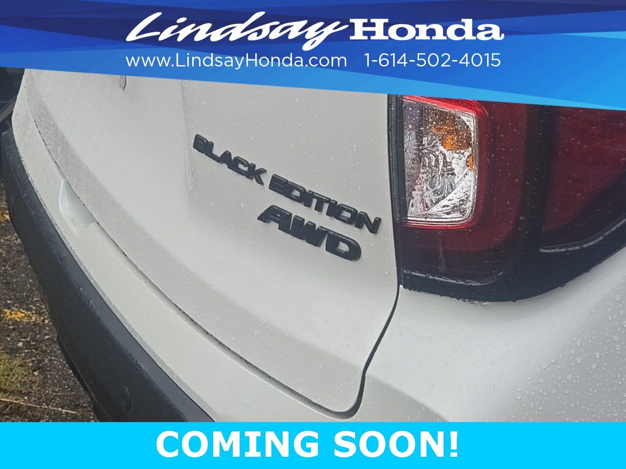 2025 Honda Passport Black Edition Columbus OH