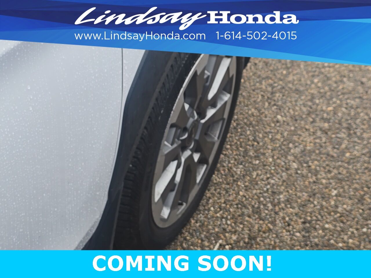 2025 Honda Passport Black Edition Columbus OH