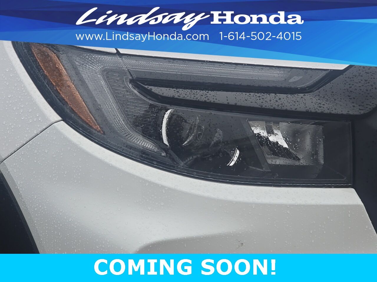 2025 Honda Passport Black Edition Columbus OH