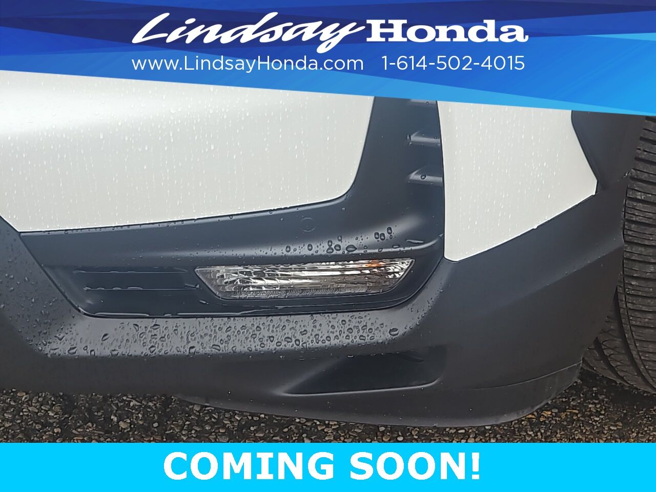 2025 Honda Passport Black Edition Columbus OH