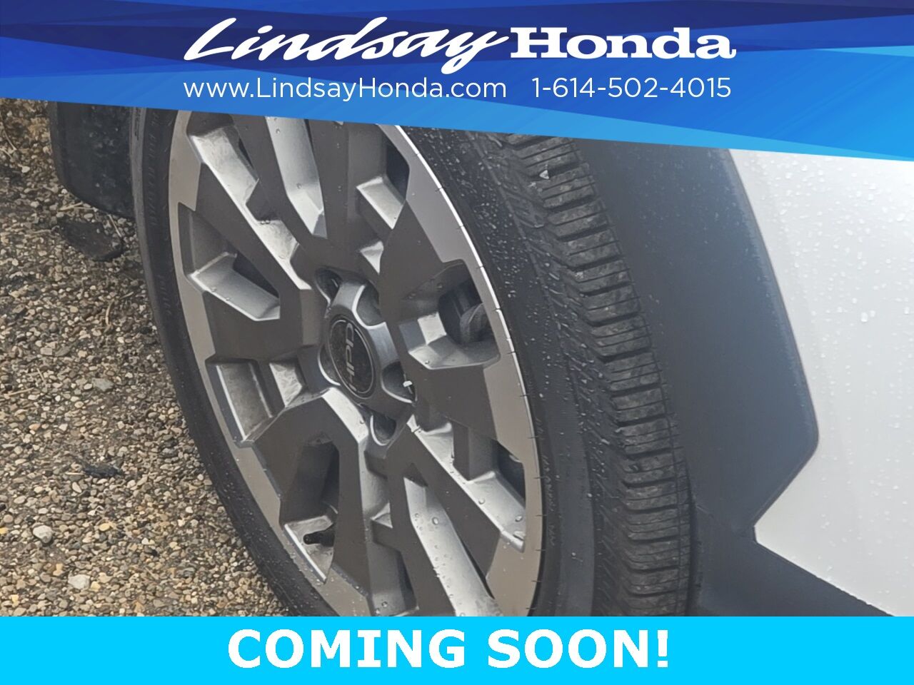 2025 Honda Passport Black Edition Columbus OH