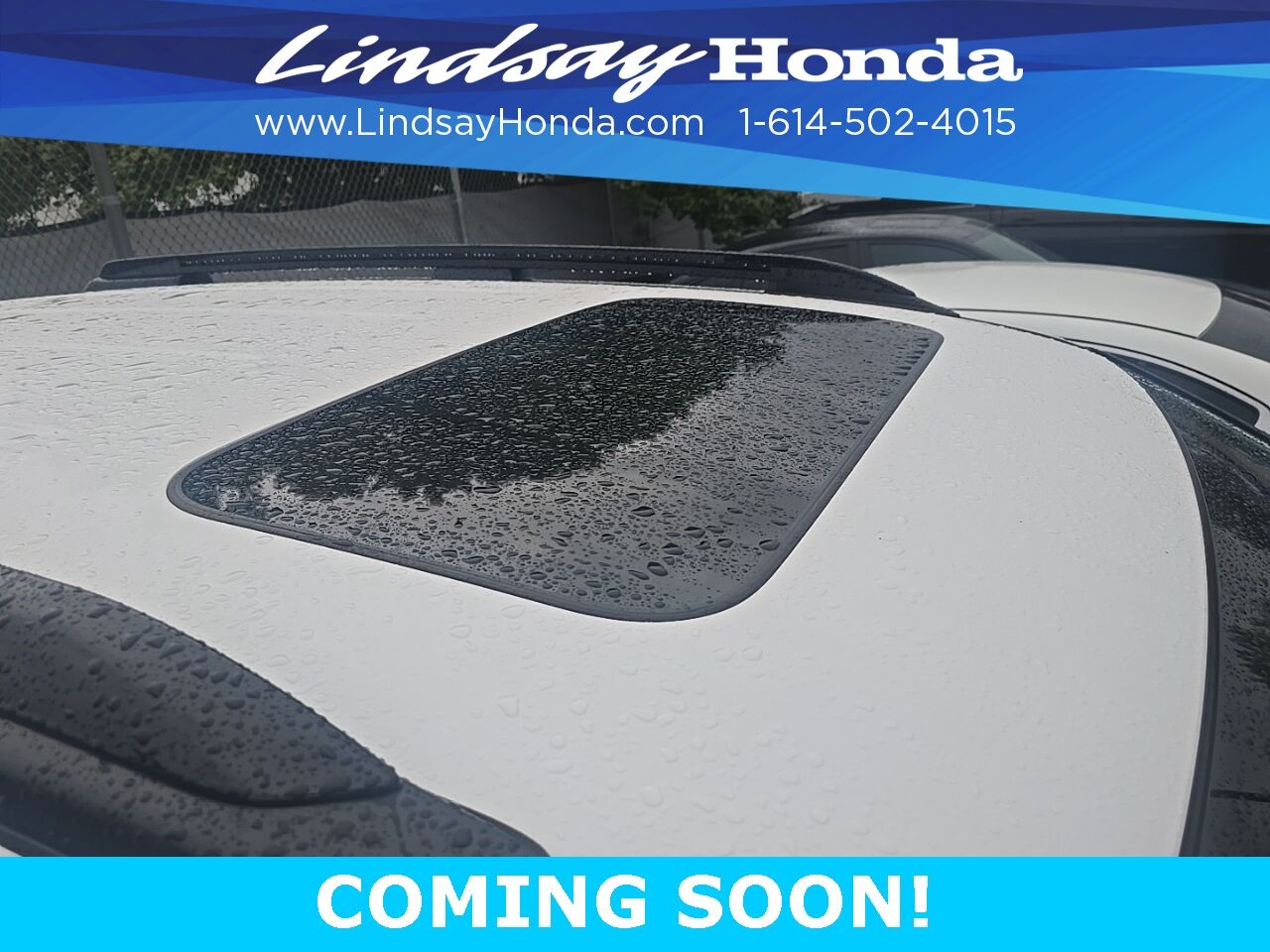 2025 Honda Passport Black Edition Columbus OH