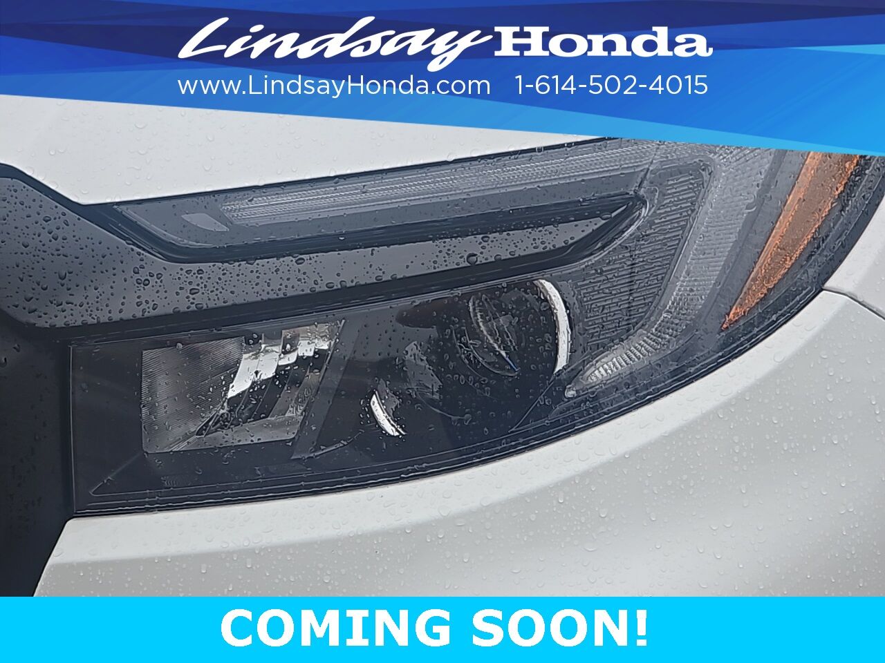 2025 Honda Passport Black Edition Columbus OH