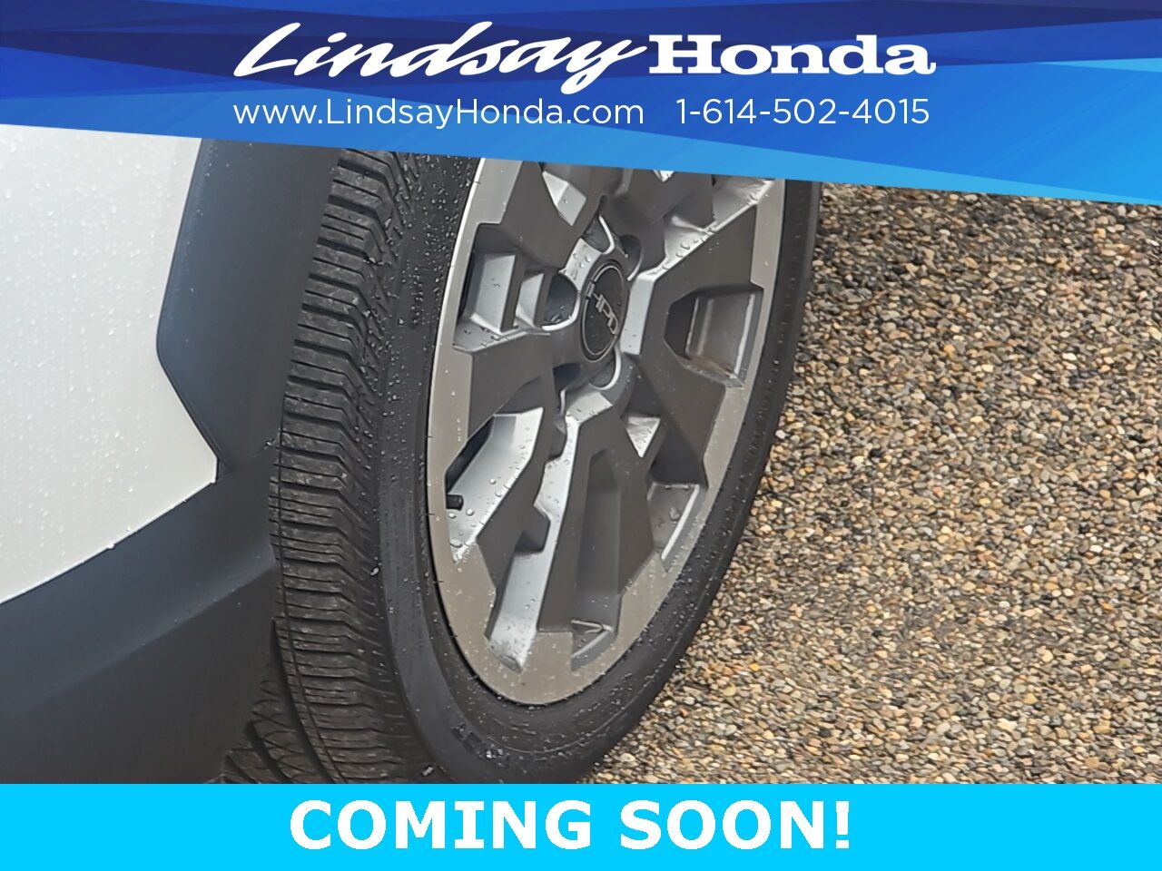 2025 Honda Passport Black Edition Columbus OH