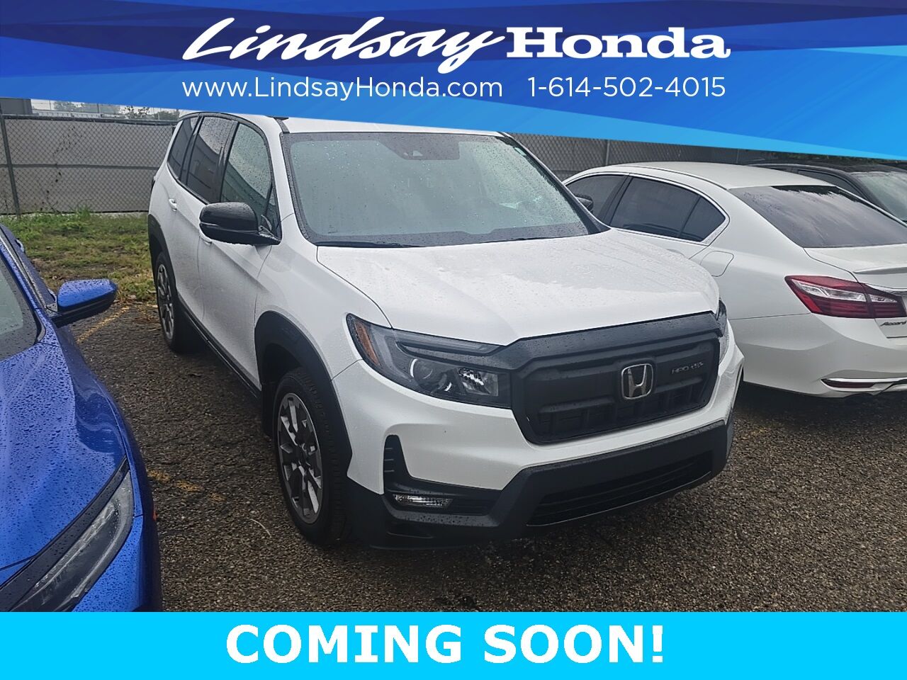 2025 Honda Passport Black Edition Columbus OH