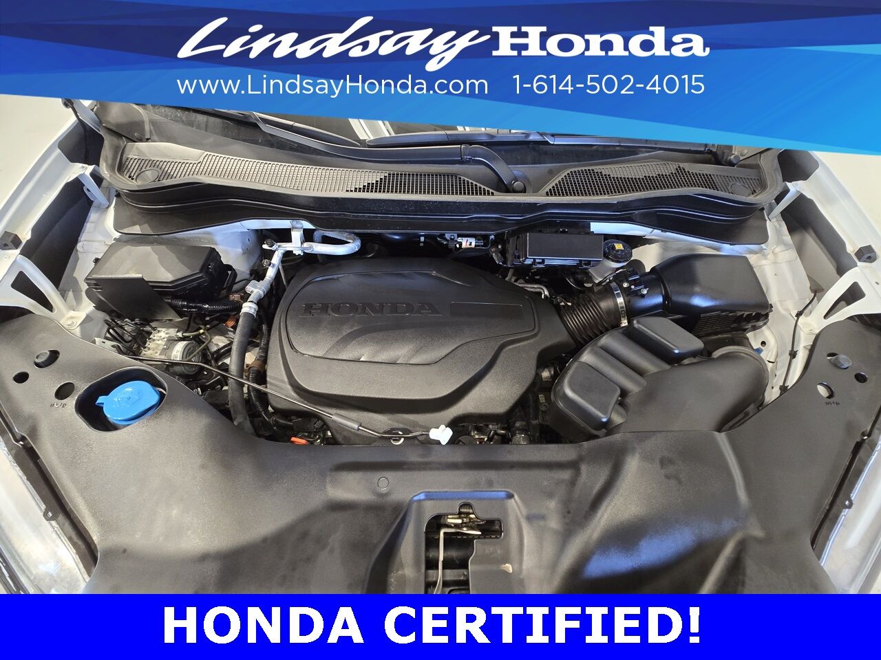 2025 Honda Passport Black Edition Columbus OH