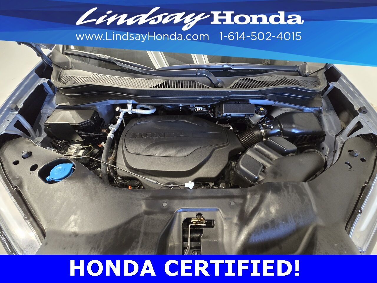 2025 Honda Passport Black Edition Columbus OH