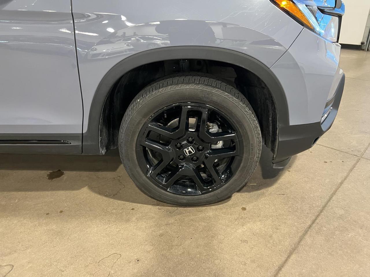 2025 Honda Passport Black Edition Parker CO