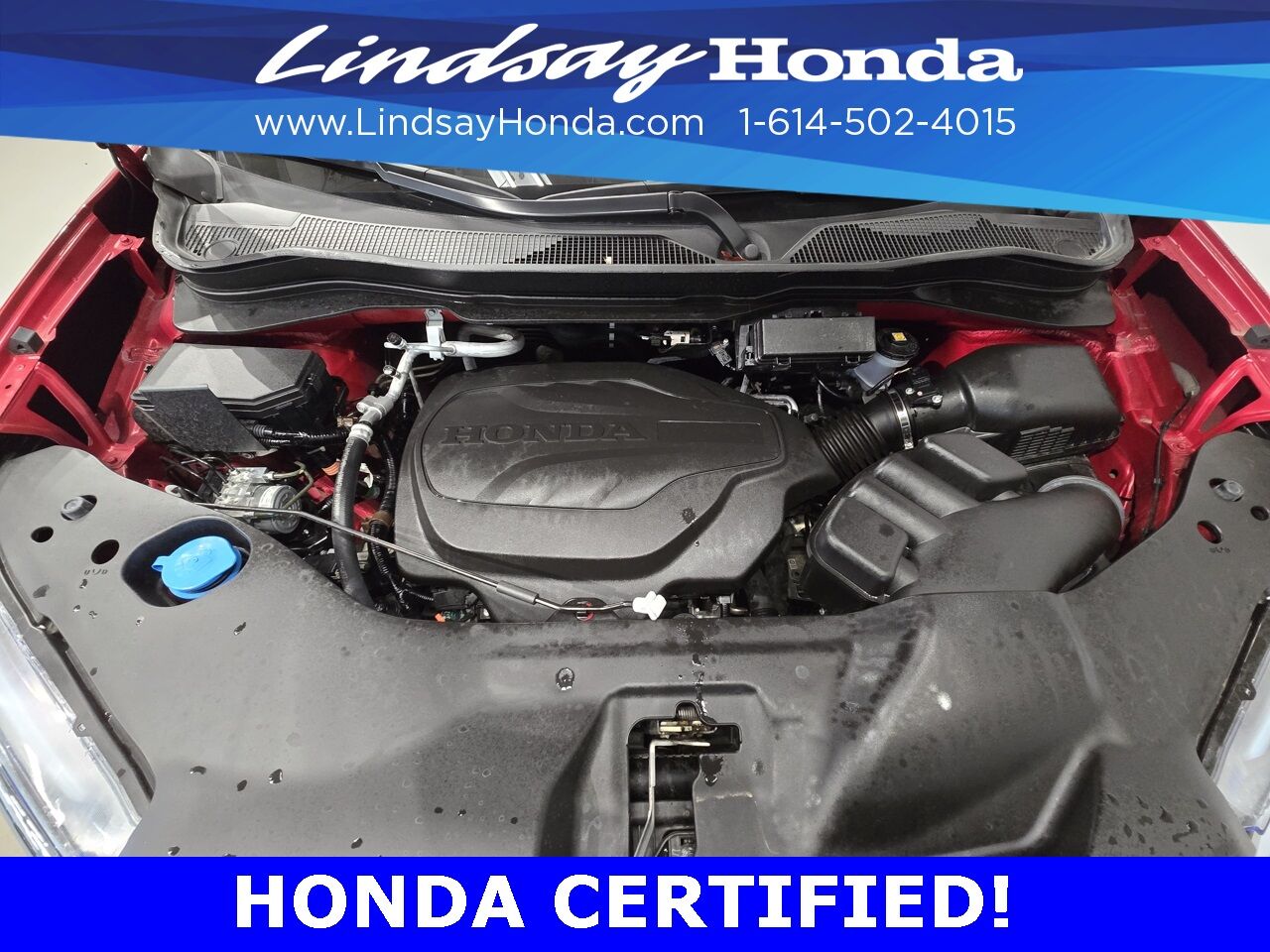 2025 Honda Passport EX-L Columbus OH