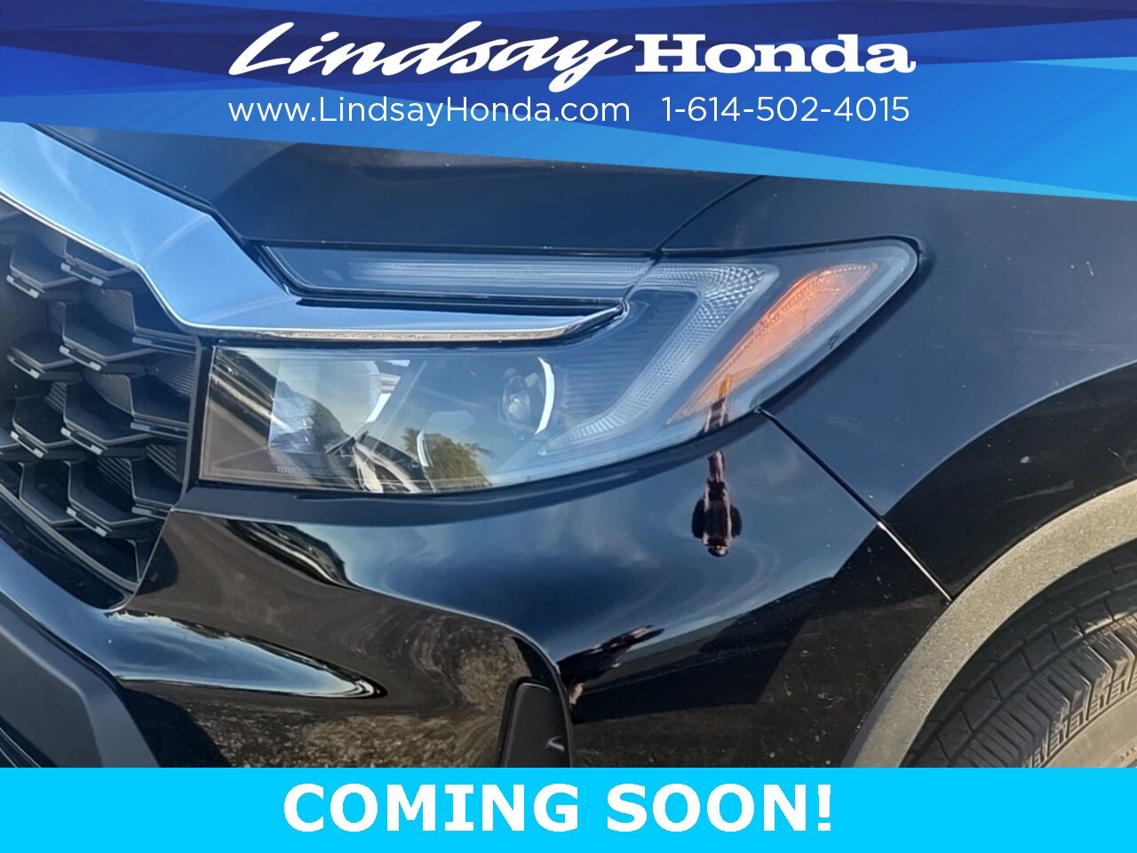 2025 Honda Passport EX-L Columbus OH
