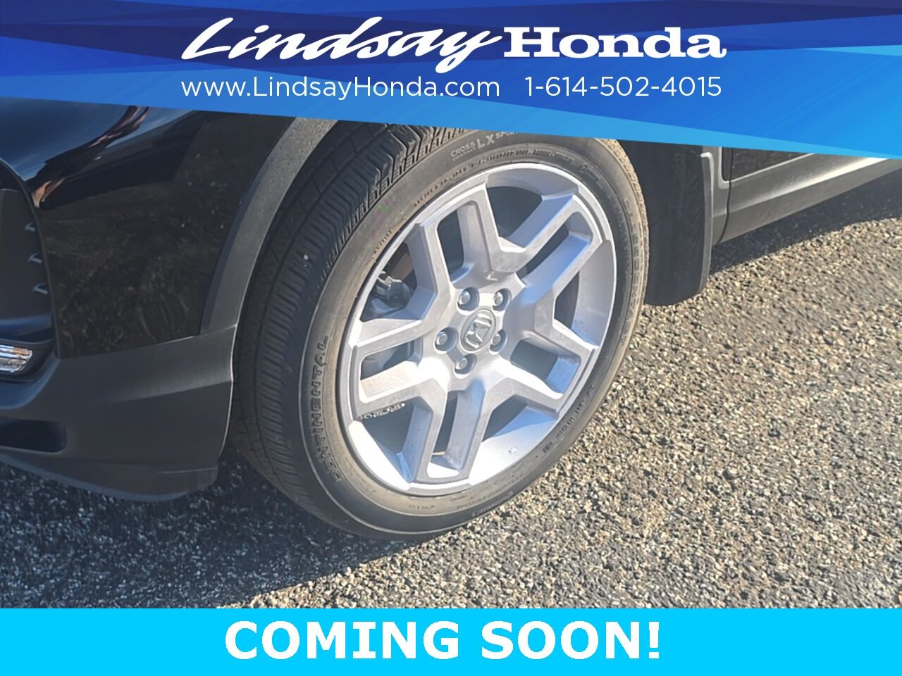 2025 Honda Passport EX-L Columbus OH