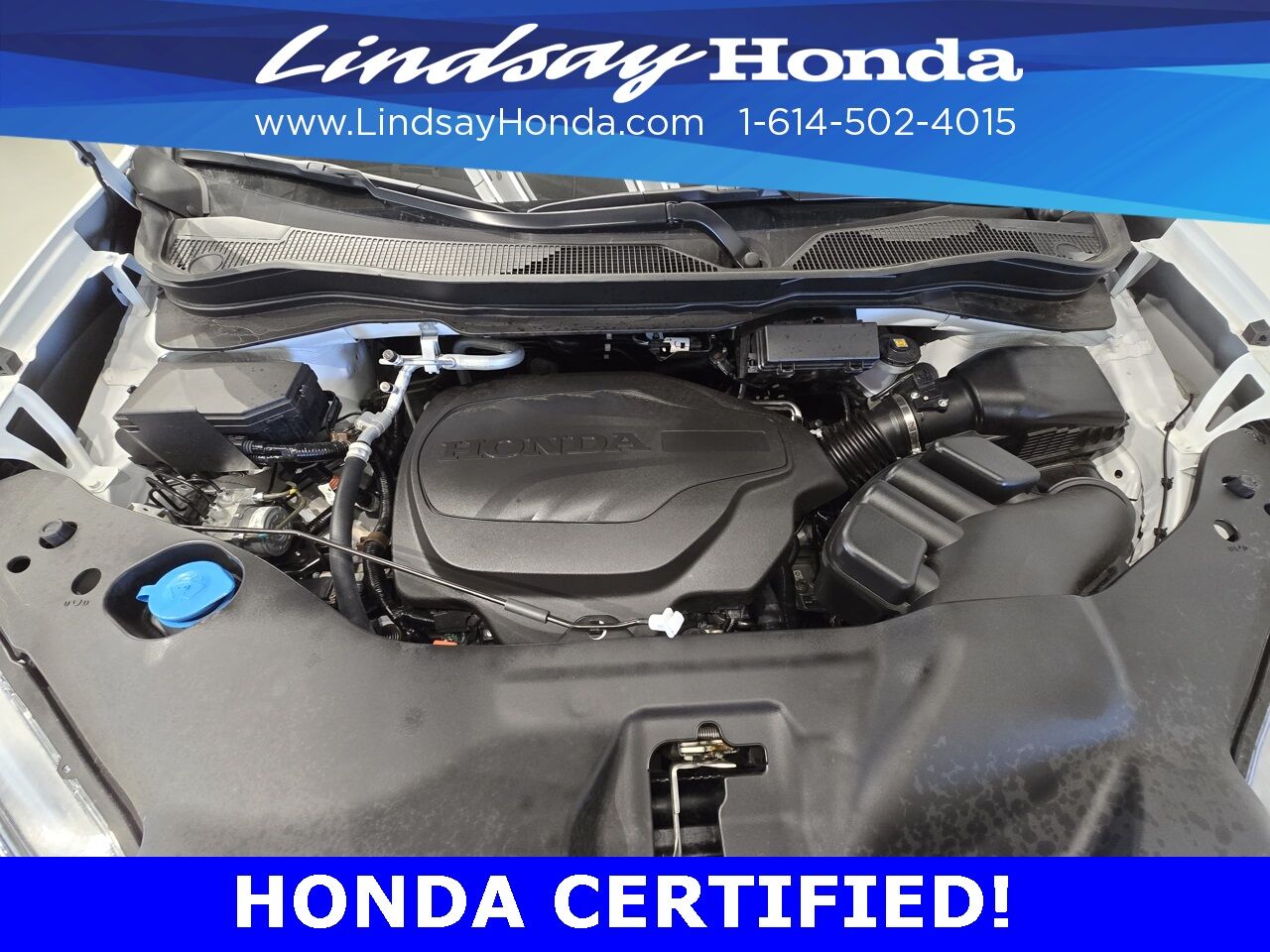 2025 Honda Passport EX-L Columbus OH