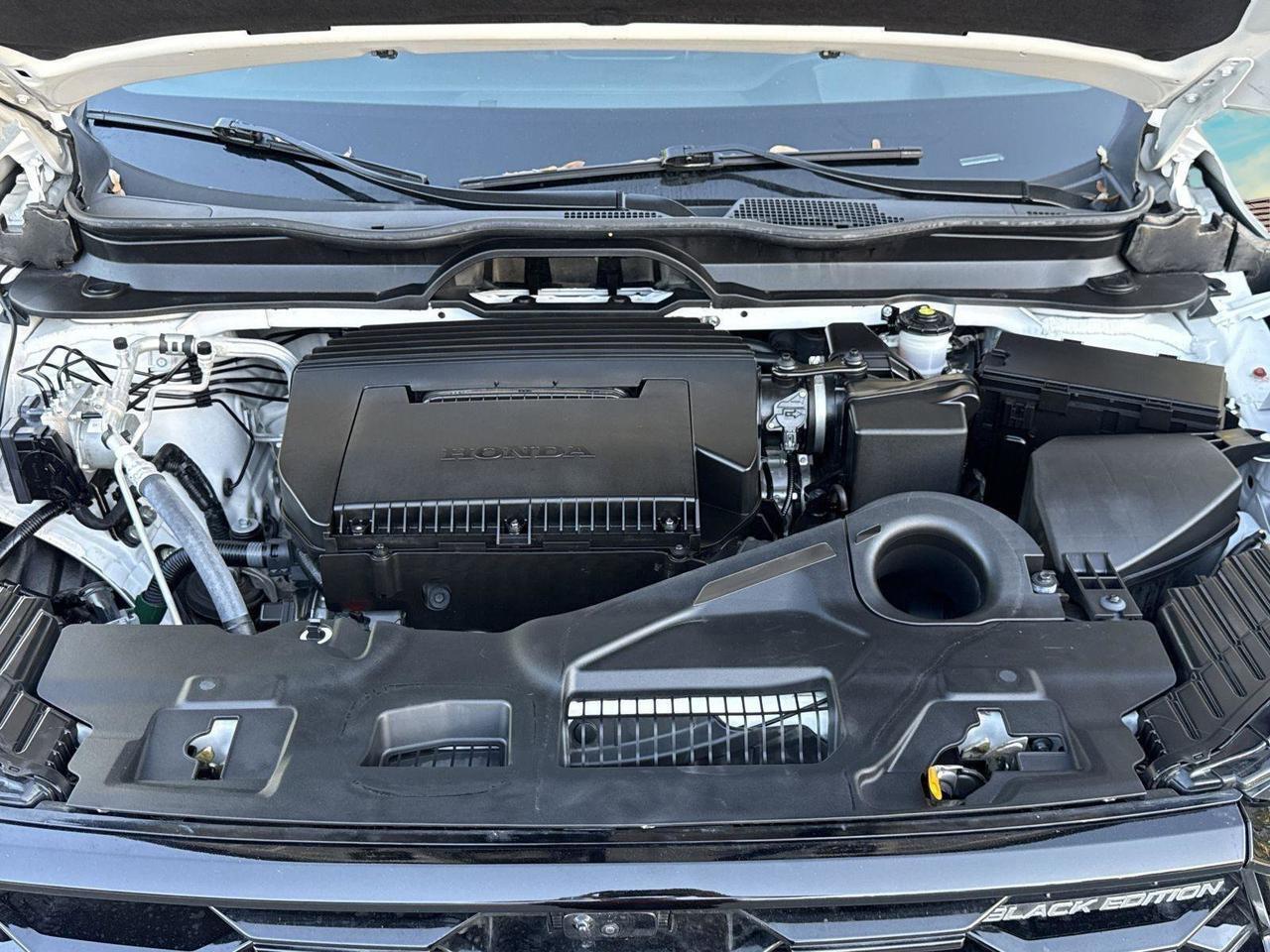 2025 Honda Pilot Black Edition San Antonio TX