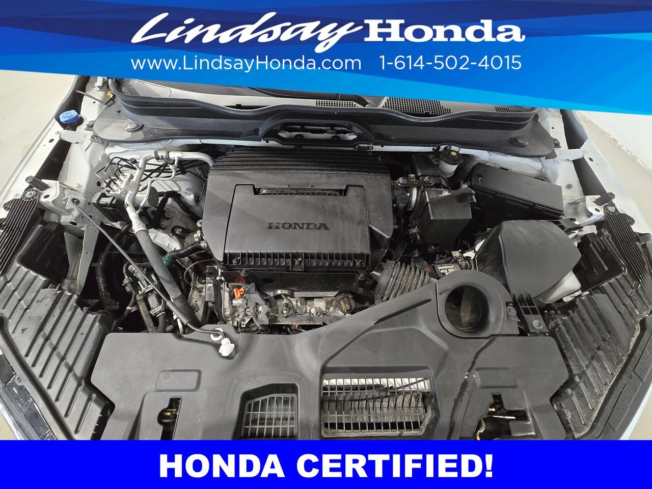 2025 Honda Pilot EX-L Columbus OH