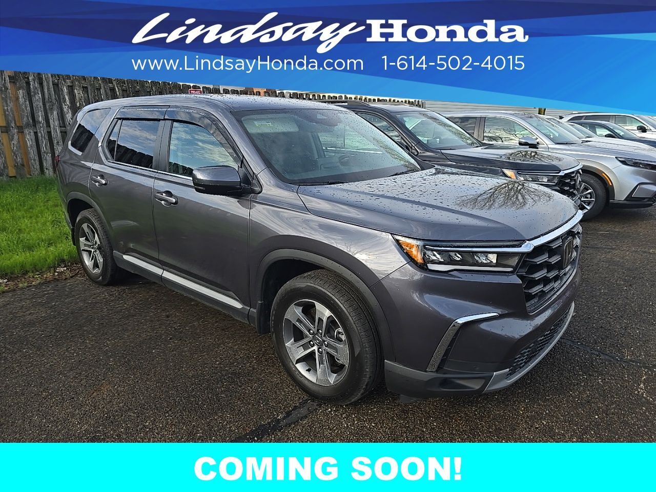 2025 Honda Pilot EX-L