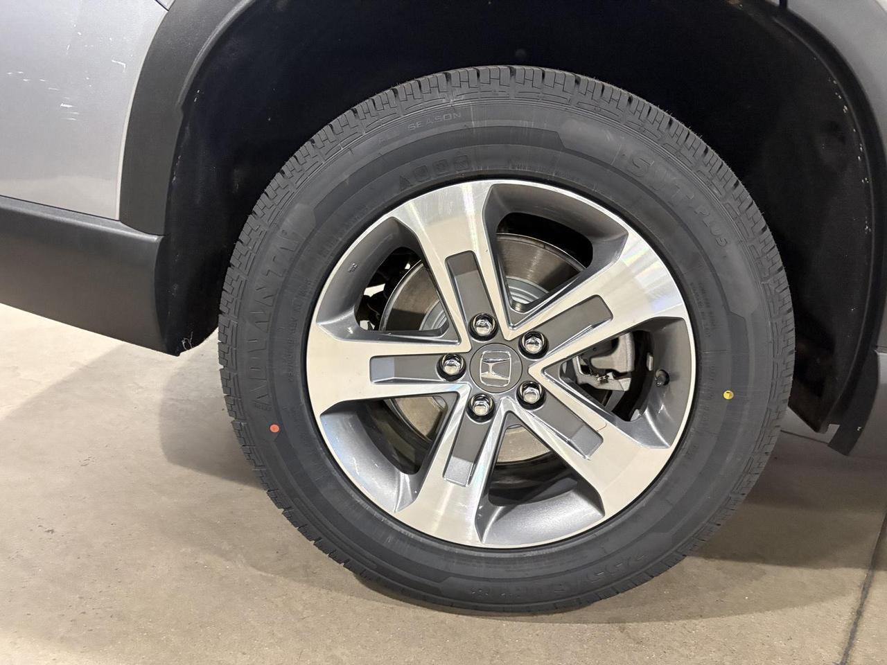 2025 Honda Pilot EX-L Parker CO