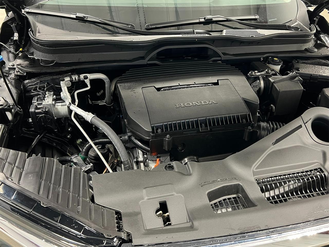 2025 Honda Pilot EX-L Alexandria VA