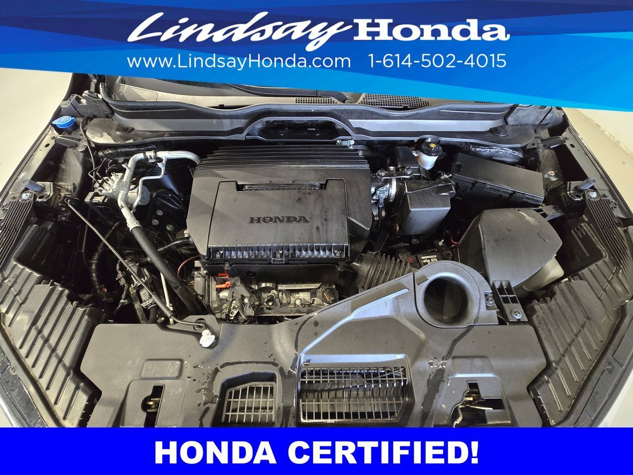 2025 Honda Pilot Elite Columbus OH