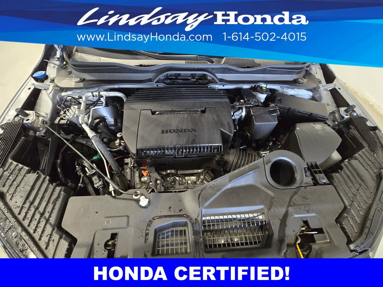 2025 Honda Pilot Sport Columbus OH