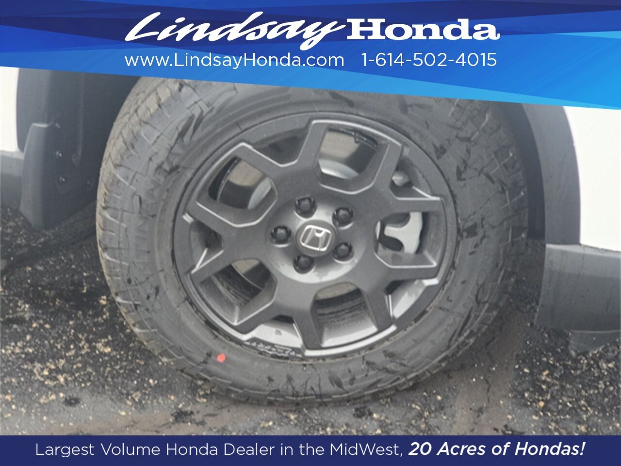 2025 Honda Pilot TrailSport Columbus OH
