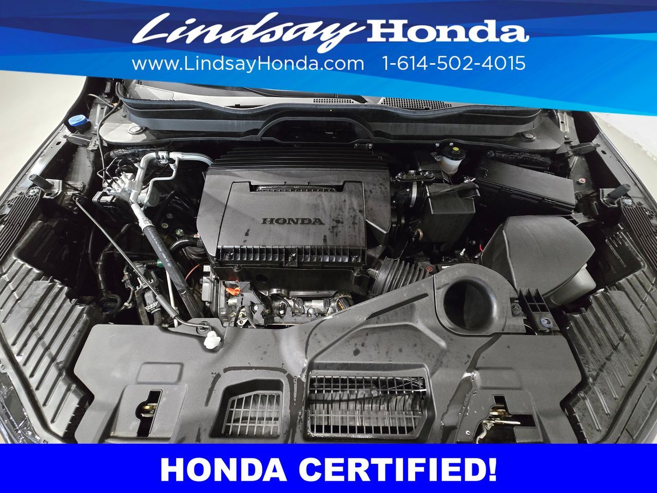 2025 Honda Pilot TrailSport Columbus OH