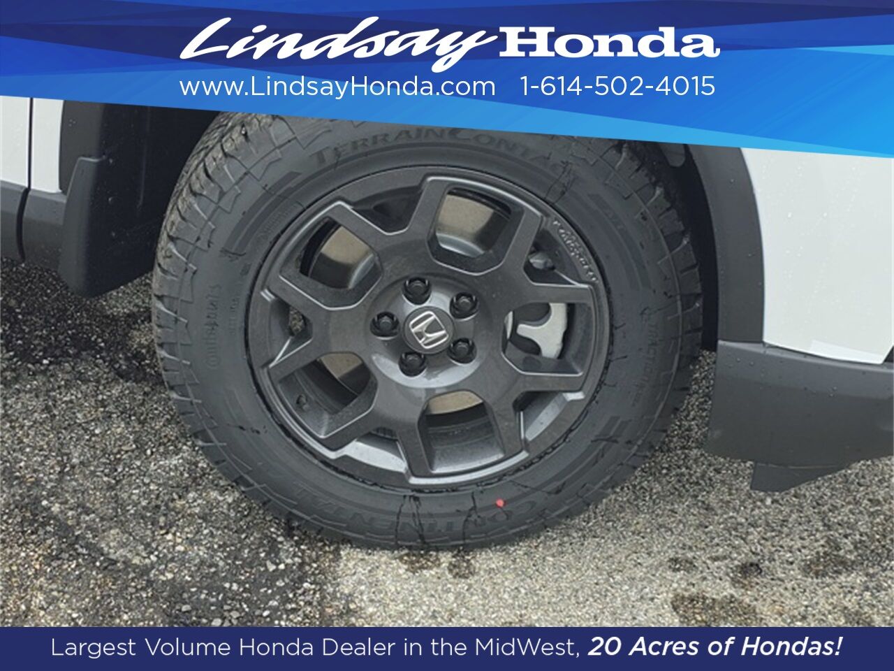 2025 Honda Pilot TrailSport Columbus OH