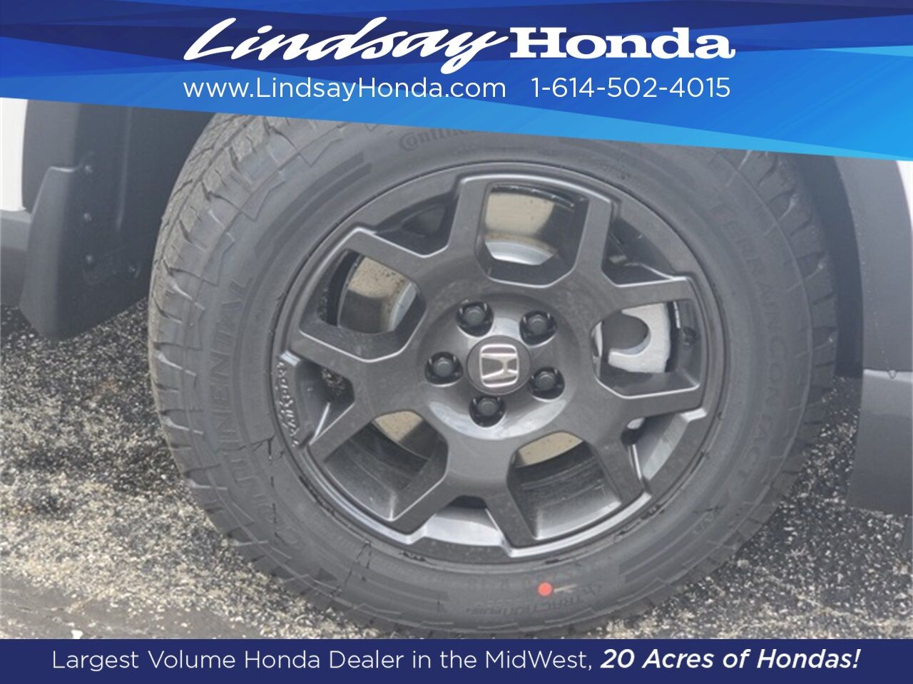 2025 Honda Pilot TrailSport Columbus OH