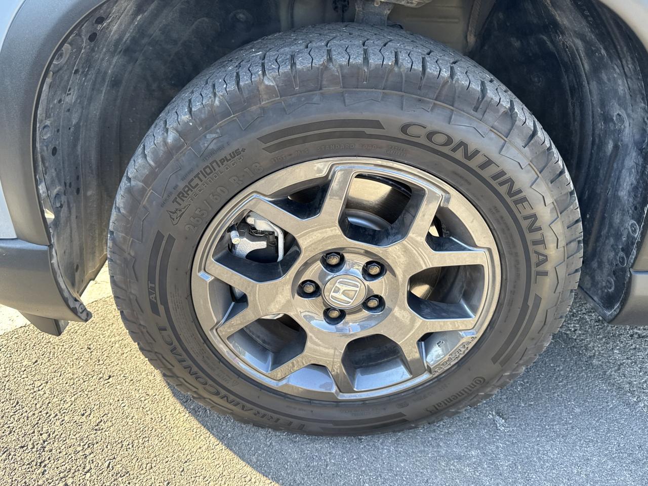 2025 Honda Pilot TrailSport San Antonio TX