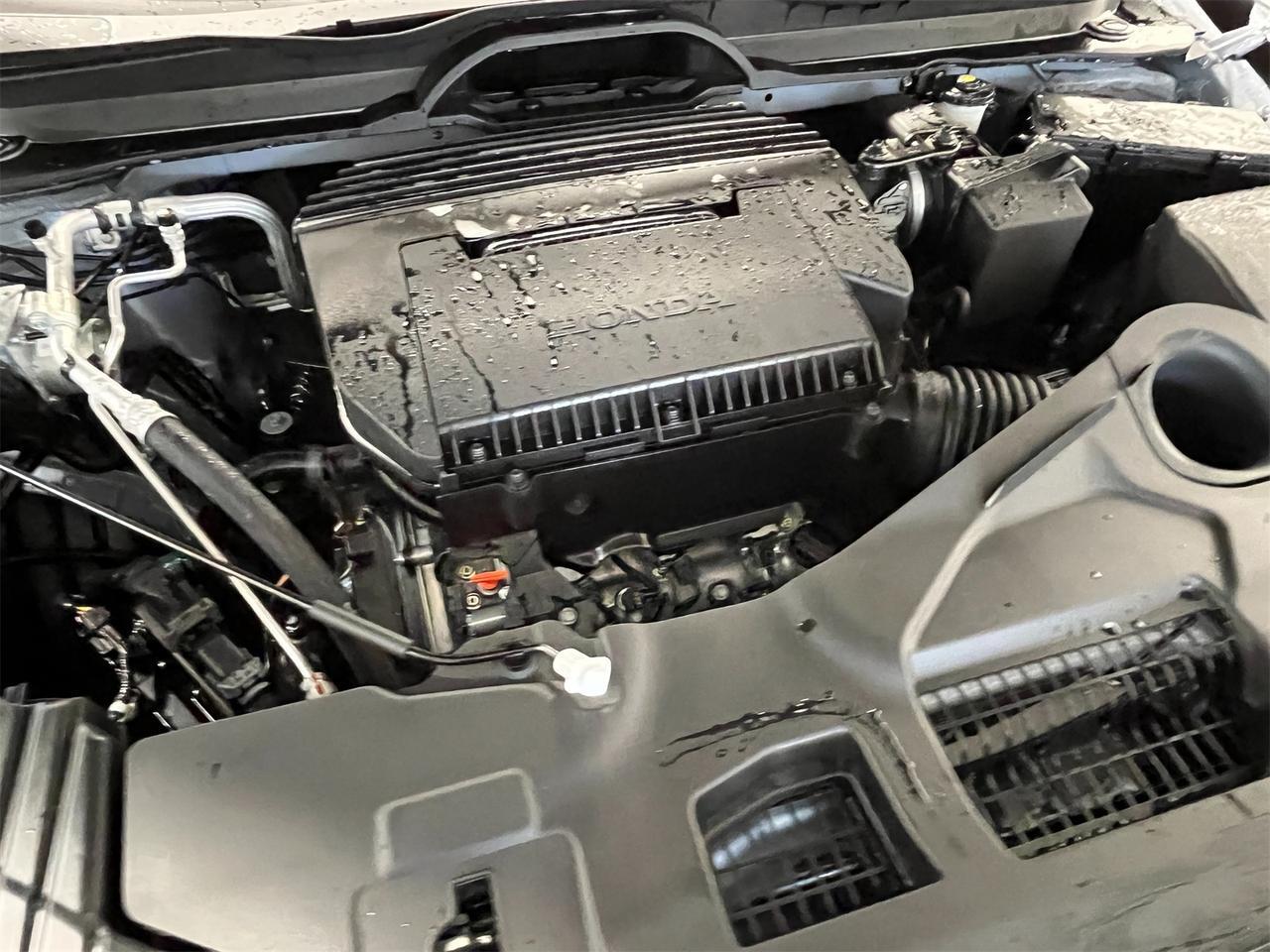 2025 Honda Pilot TrailSport Alexandria VA