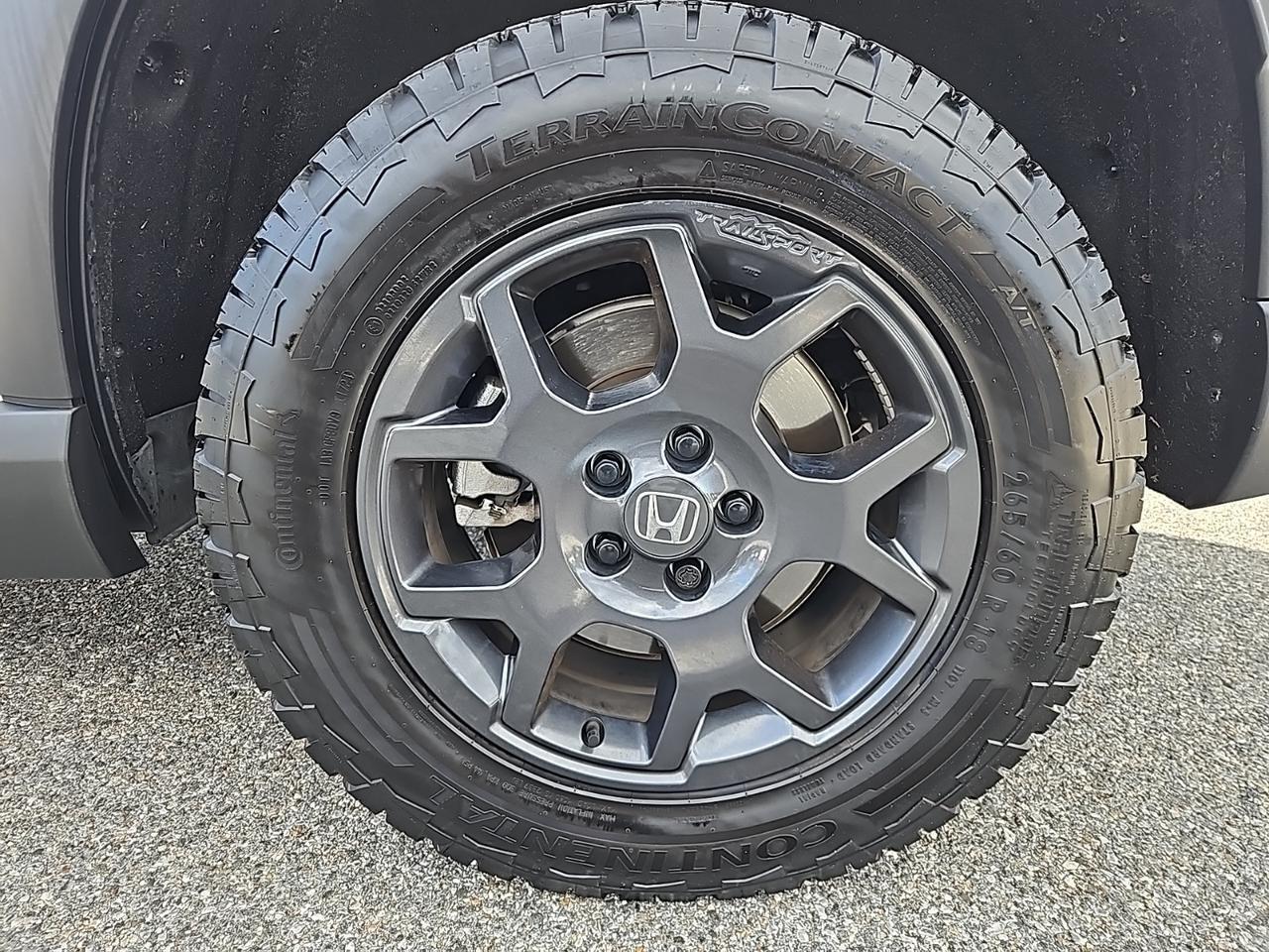 2025 Honda Pilot TrailSport Waldorf MD