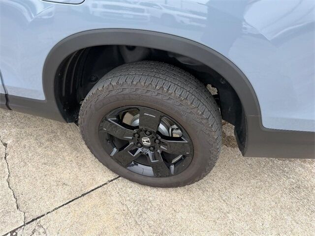 2025 Honda Ridgeline Black Edition Cape Girardeau MO