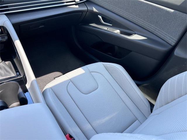 2025 Hyundai Elantra Hybrid Limited Cape Girardeau MO