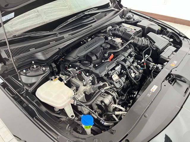 2025 Hyundai Elantra N Line Carrollton TX