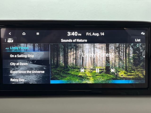 2025 Hyundai Palisade Calligraphy Carrollton TX