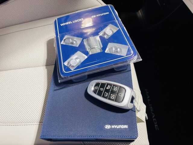 2025 Hyundai Palisade Calligraphy Marshfield MA