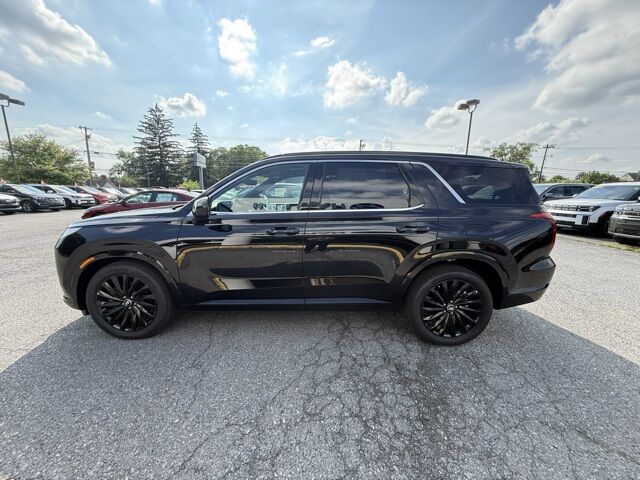 2025 Hyundai Palisade Calligraphy Night Edition San Clemente CA