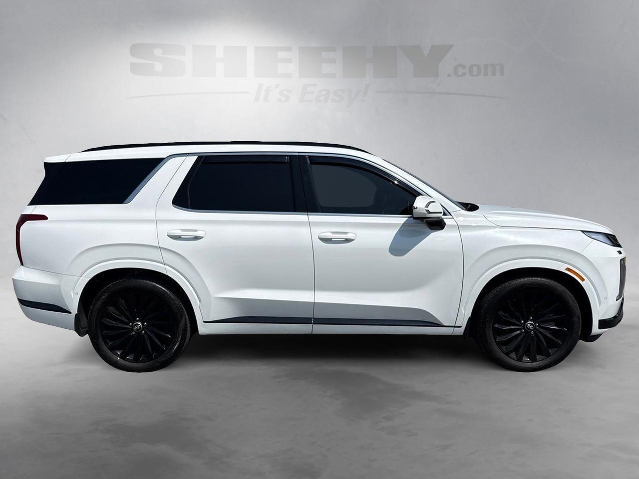 2025 Hyundai Palisade Calligraphy Night Edition Chantilly VA