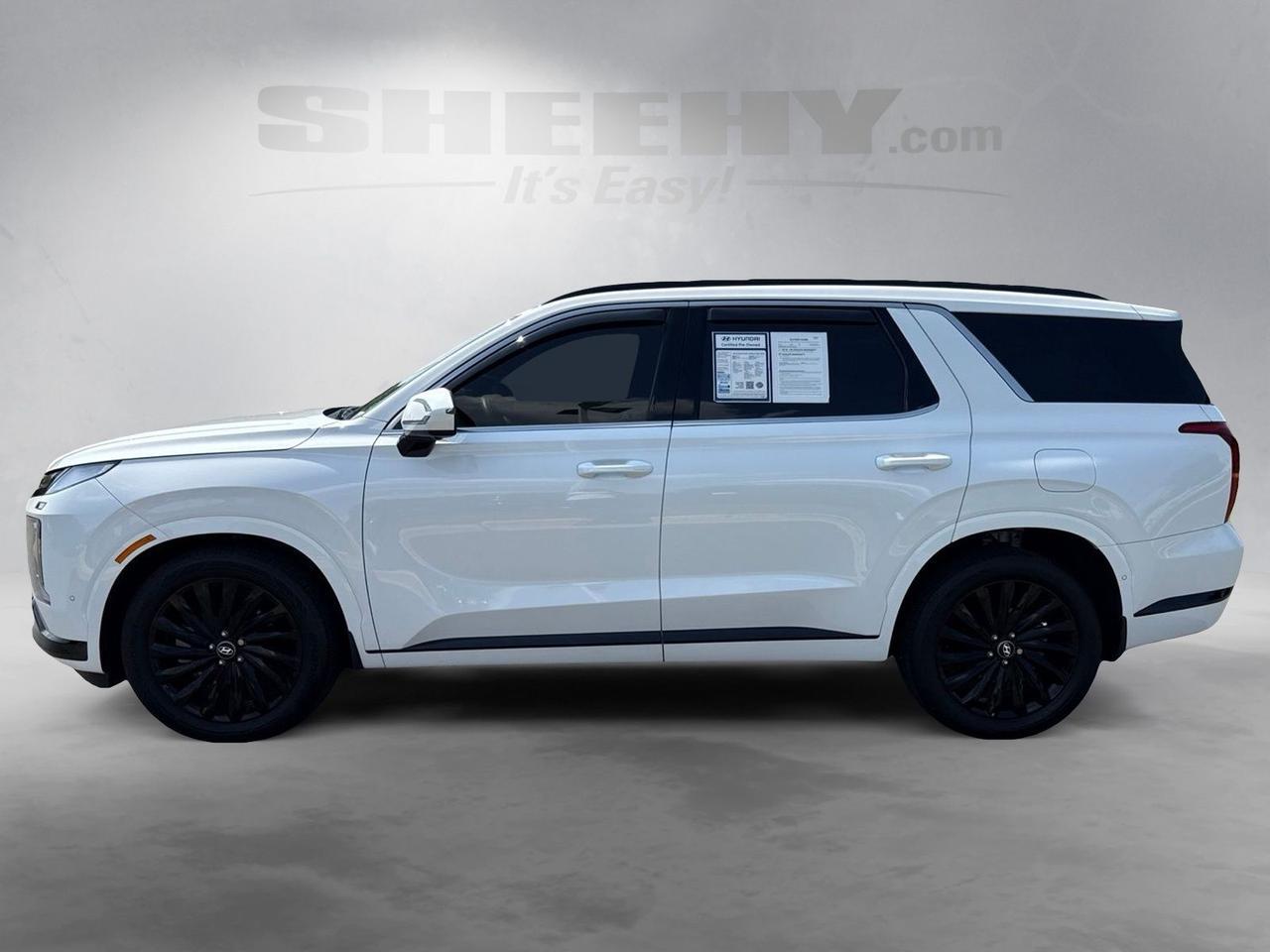 2025 Hyundai Palisade Calligraphy Night Edition Chantilly VA
