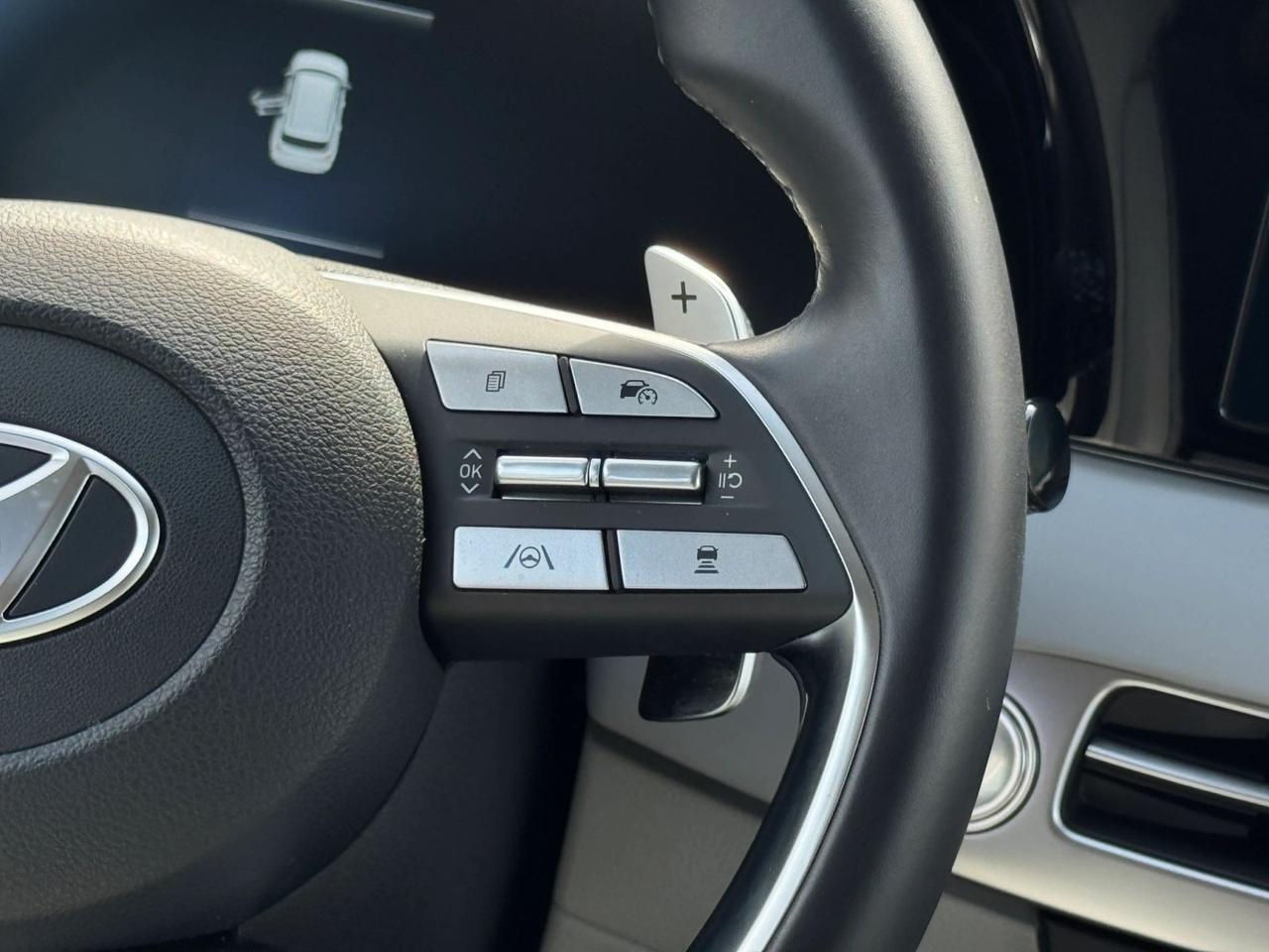 2025 Hyundai Palisade SEL Miami FL