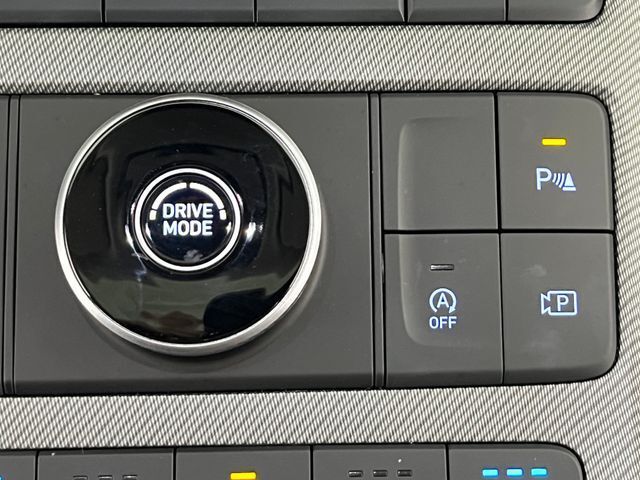 2025 Hyundai Palisade SEL Premium Carrollton TX