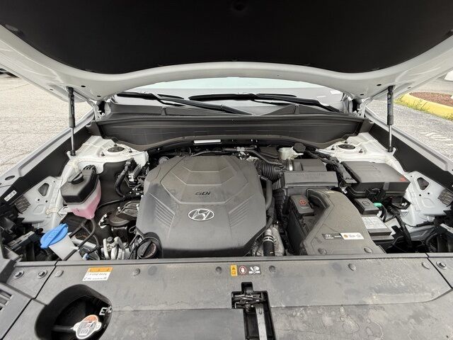 2025 Hyundai Palisade SEL Premium San Clemente CA