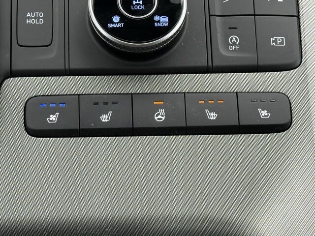 2025 Hyundai Palisade SEL Premium San Clemente CA
